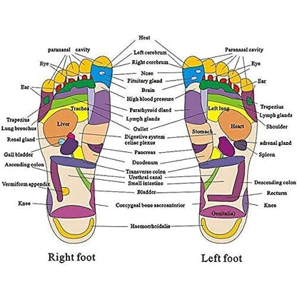 Acupressure Magnetic Therapy Paduka Slippers for Full Body Blood Circulation For Men and Women